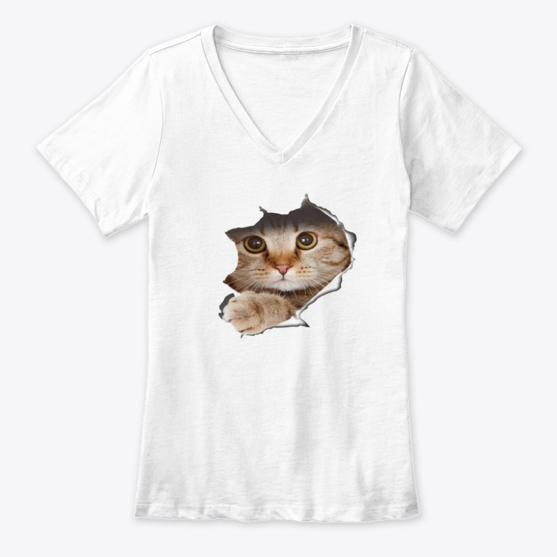 CAT IS COMING OUT