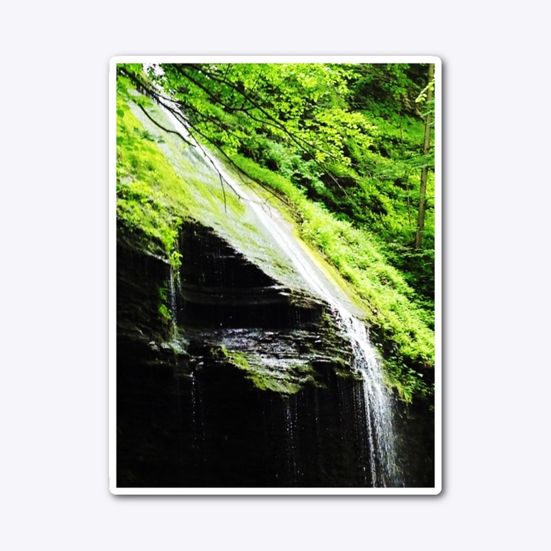 Forest Waterfall