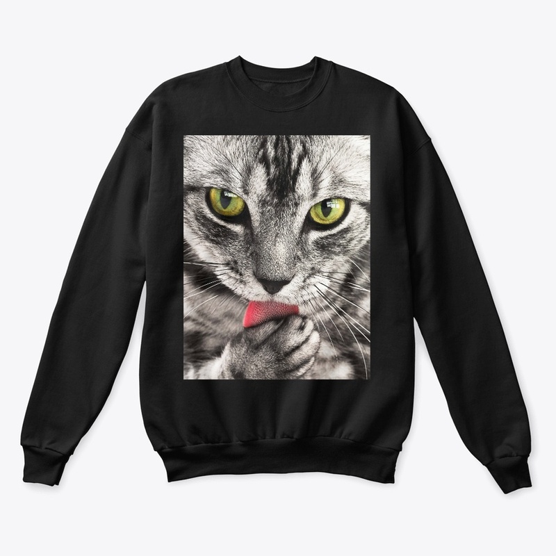  Cool Cat
