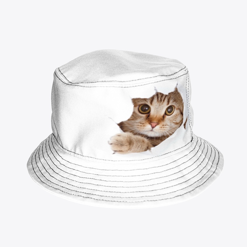 Petit chat