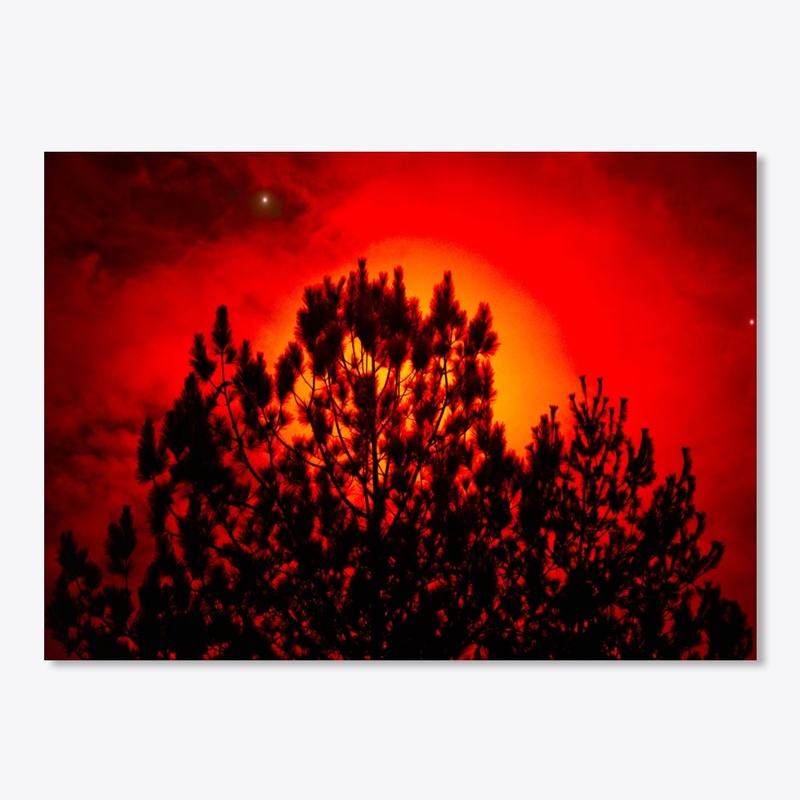 red moon behind trees 