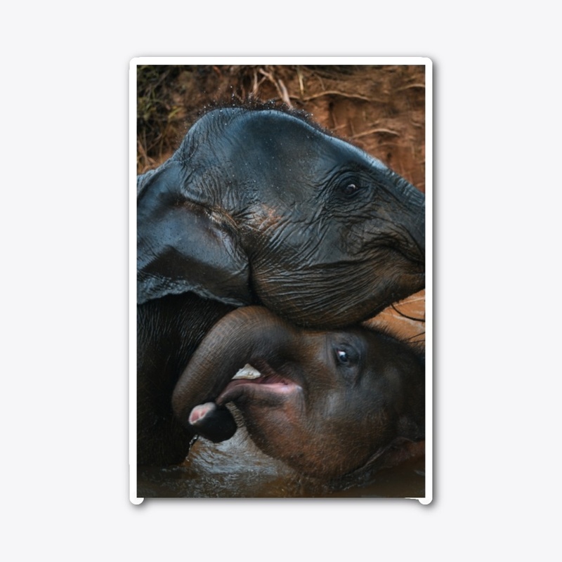 mom's love