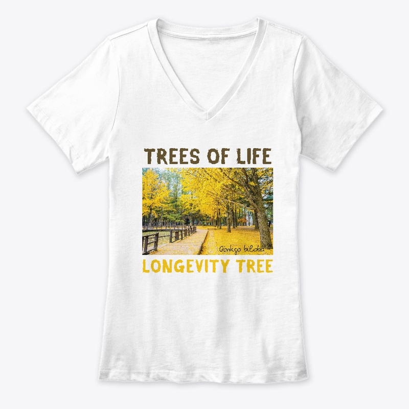 TREES of LIFE: GINKGO/LONGEVITY TREE