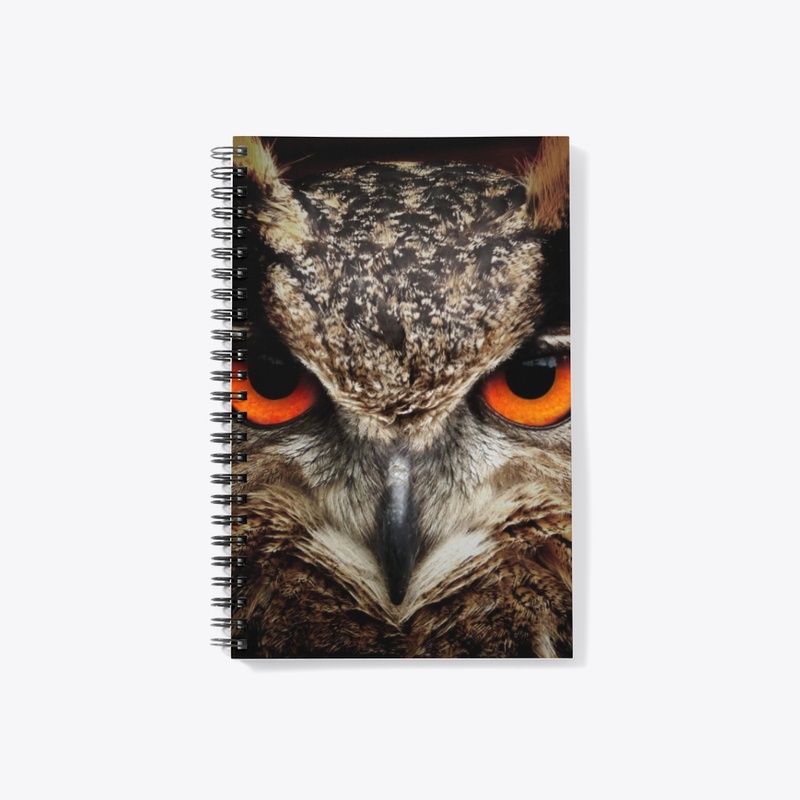 Owl Over