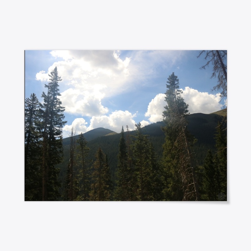Colorado 9