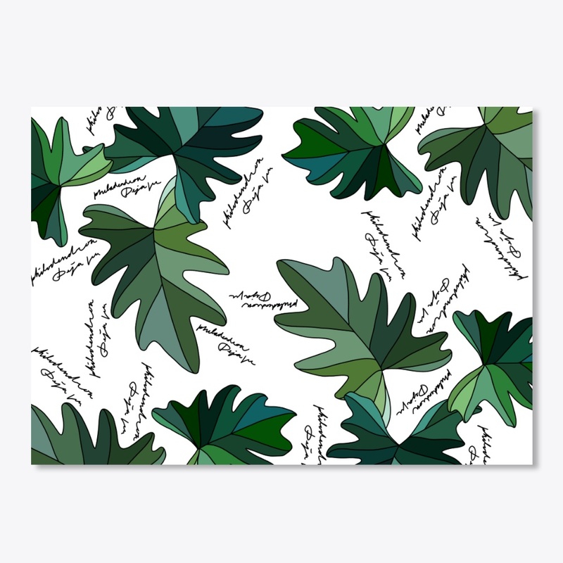 Philodendron Deja vu plant enthusiast