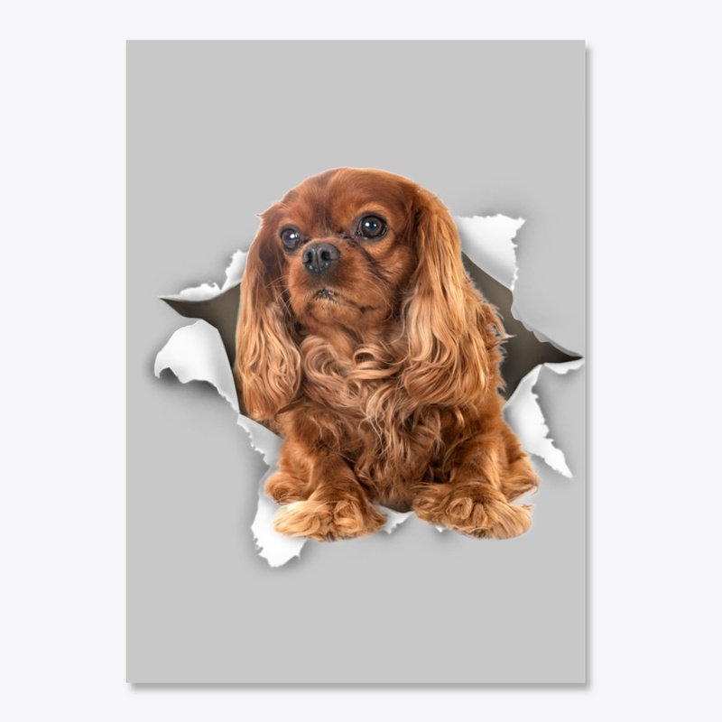 King Charles Spaniel Torn Paper