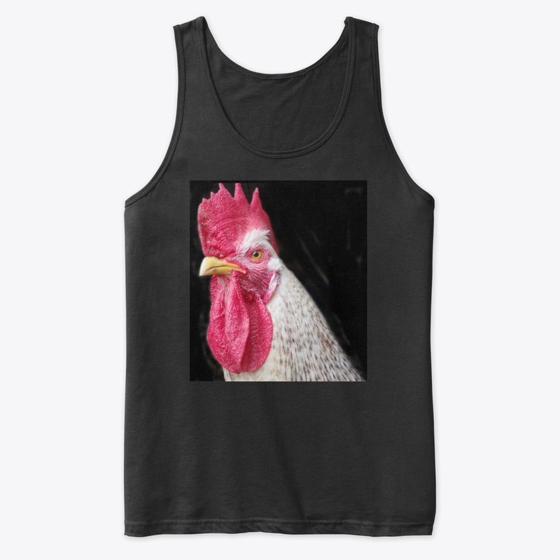 rooster chicken farm animal