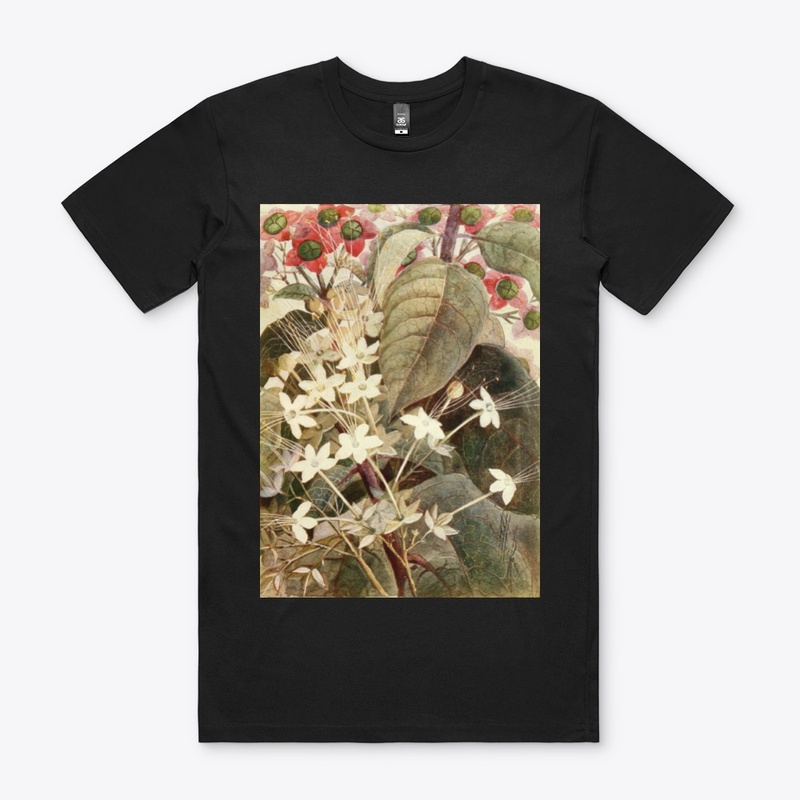 Clerodendron
