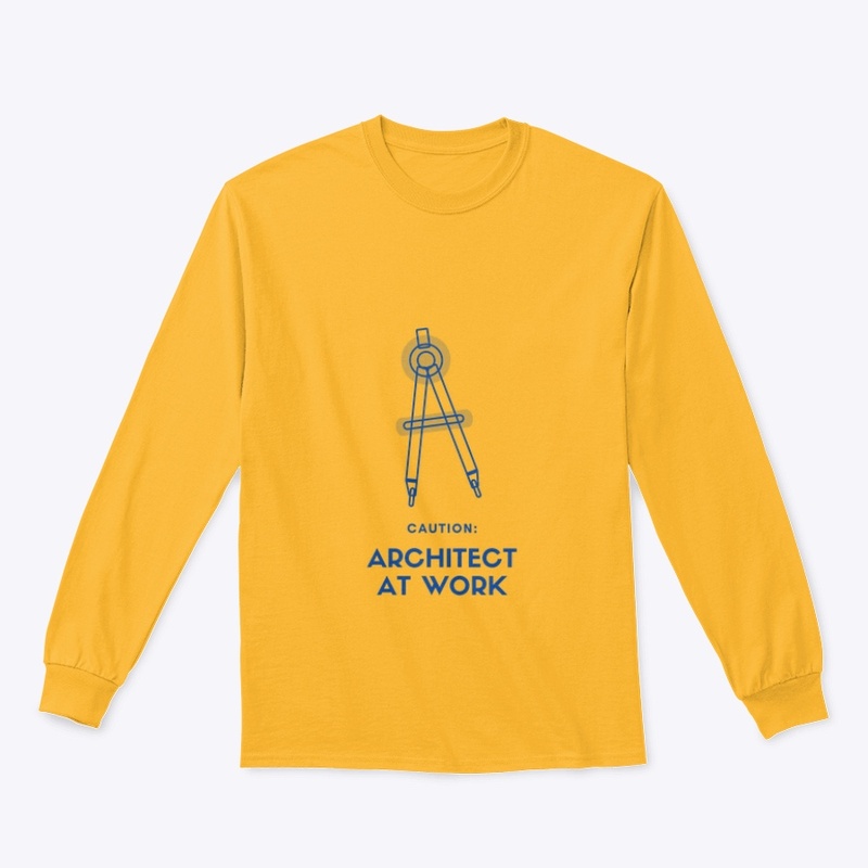 Architect at Work