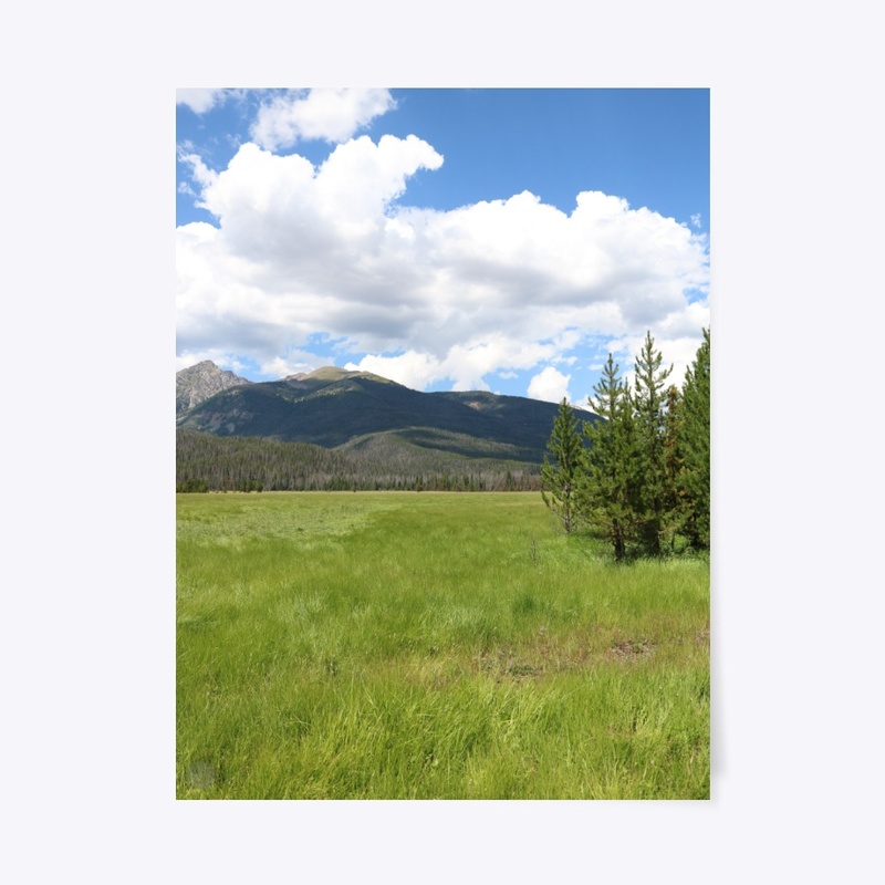 Colorado 20