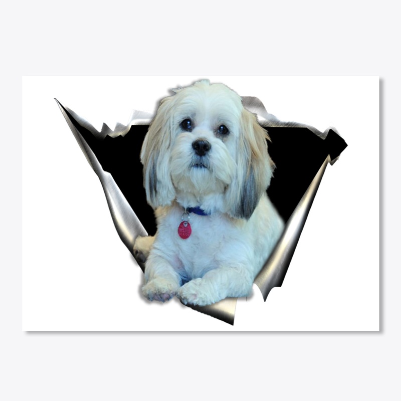 lhasa apso 3D CAR STICKER
