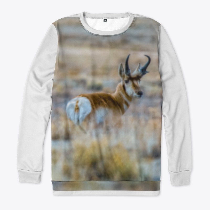 Pronghorn 
