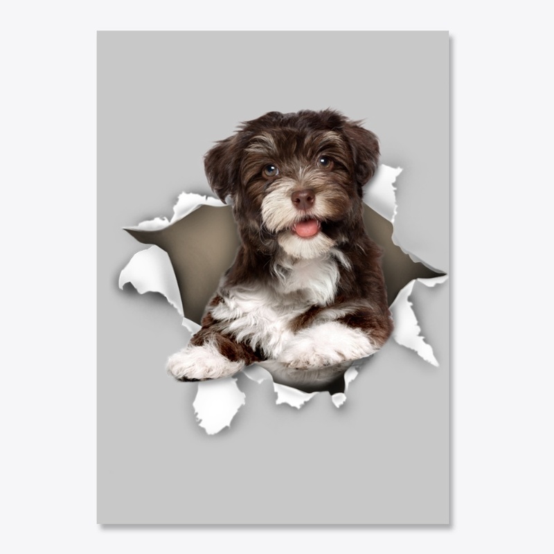 Havanese Torn Paper