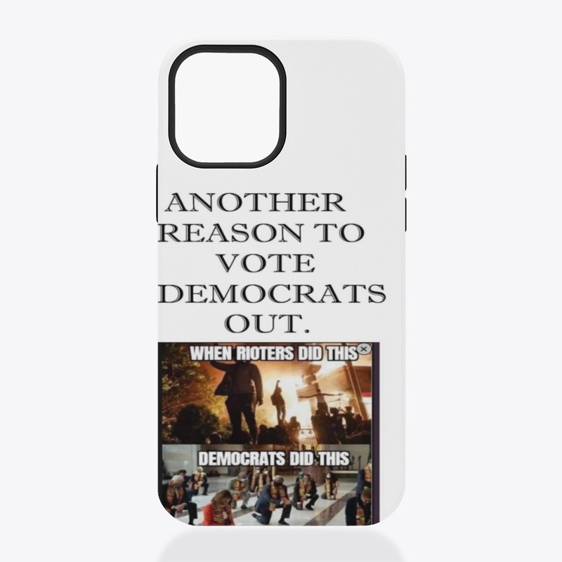 REason1 to vote Dems Out
