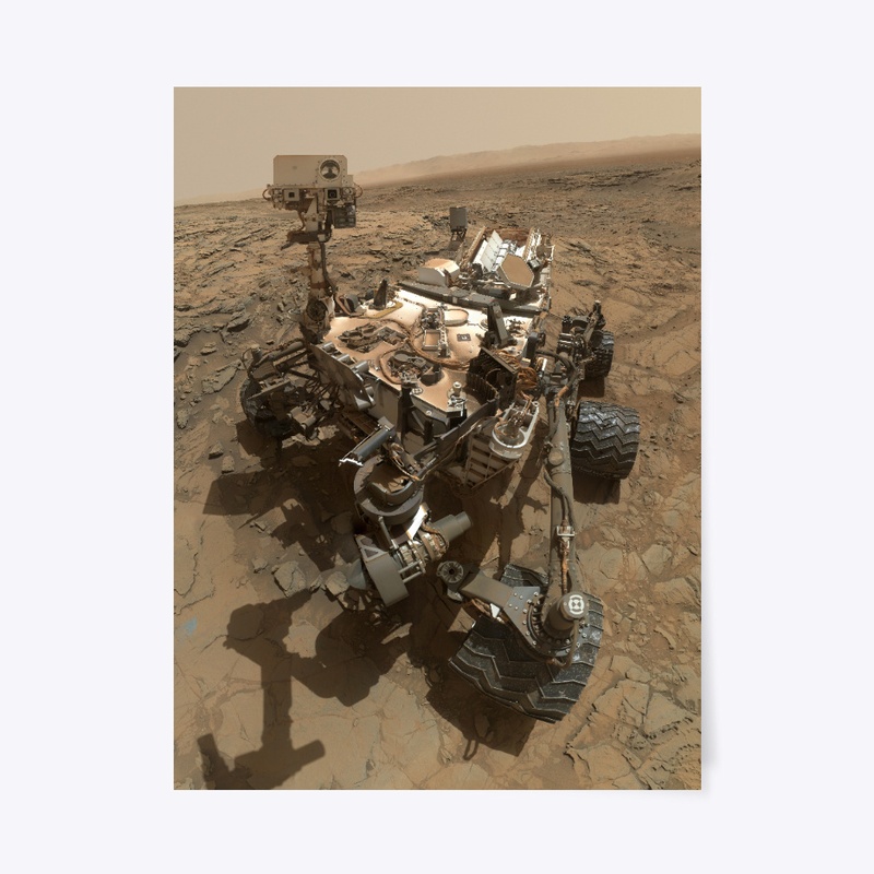 Curiosity selfie