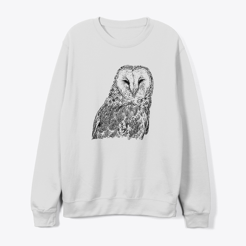 Birdwatching For Barn Owls