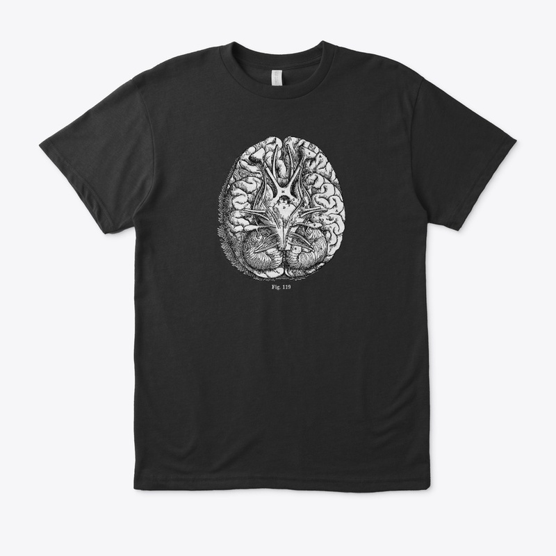 Brain Diagram