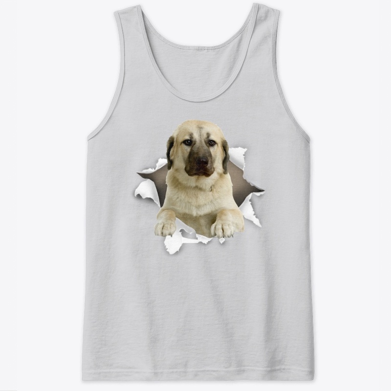 Kangal Dog Torn Paper