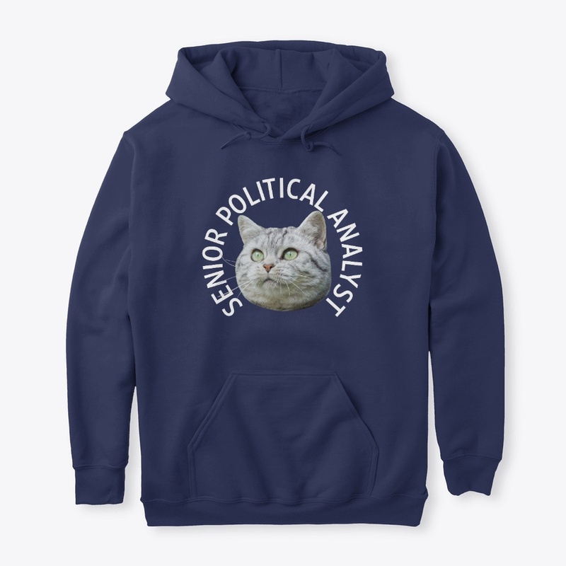 Senior Political Analyst
