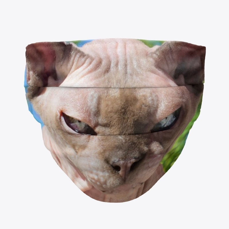 Ra Facemask