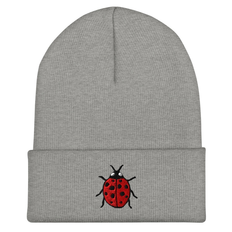 Ladybug embroidered beanie