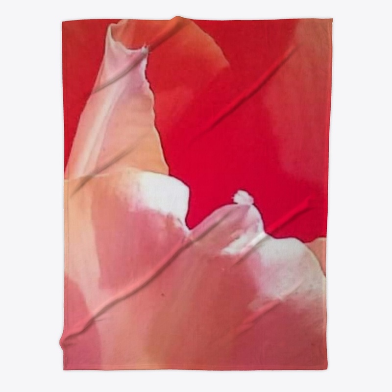 Bloom/ Tulip