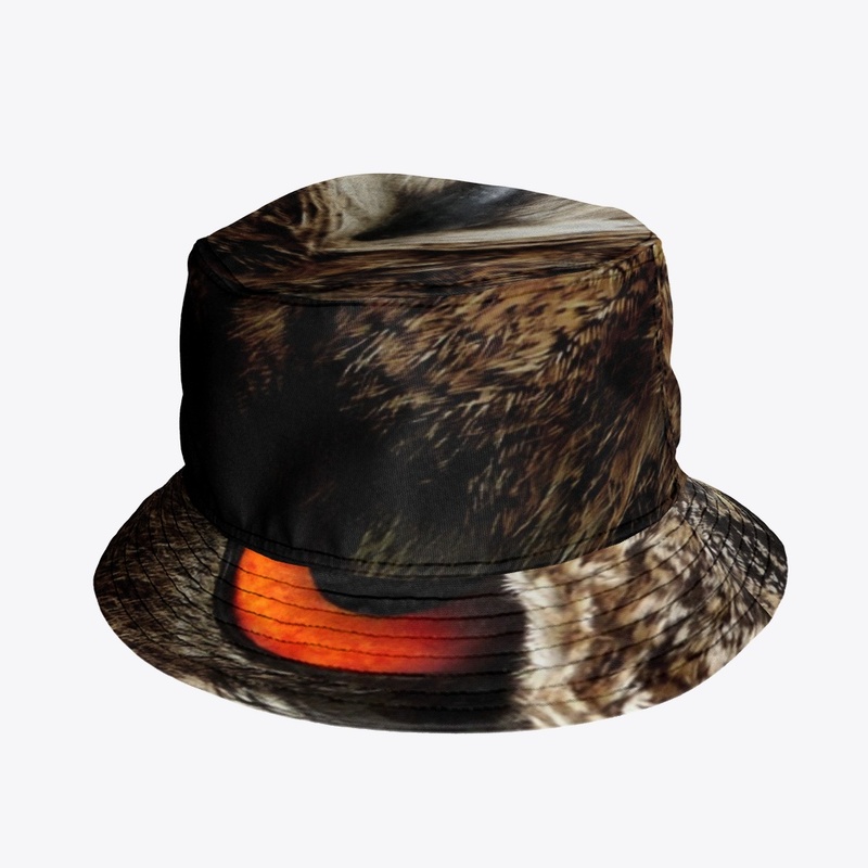 Now you see me 