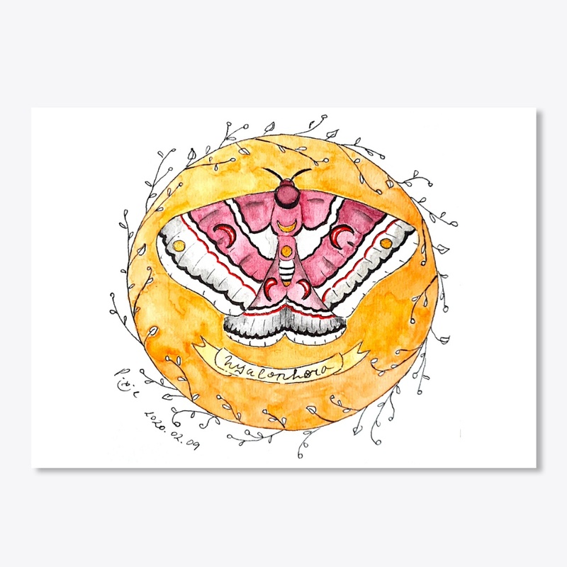 Watercolours Moth