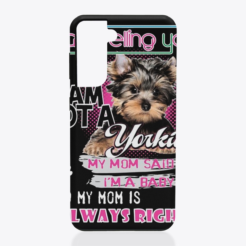 yorkie-baby2