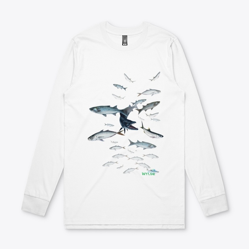 Barracuda Attacking Baitfish
