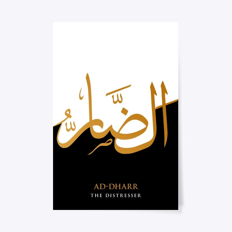 AD-DHAAR : THE DISTRESSER 