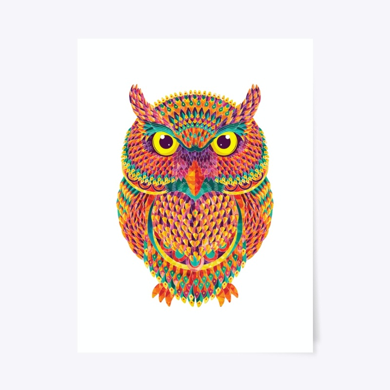 Colorful Ethnic  Owl Canvas 
