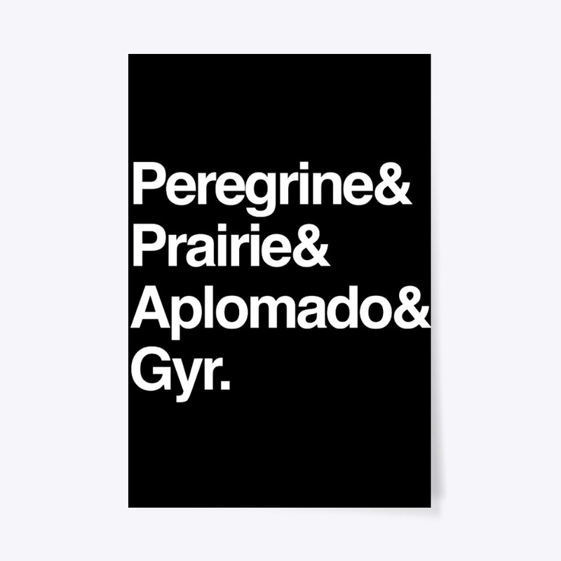 Falcons Helvetica List