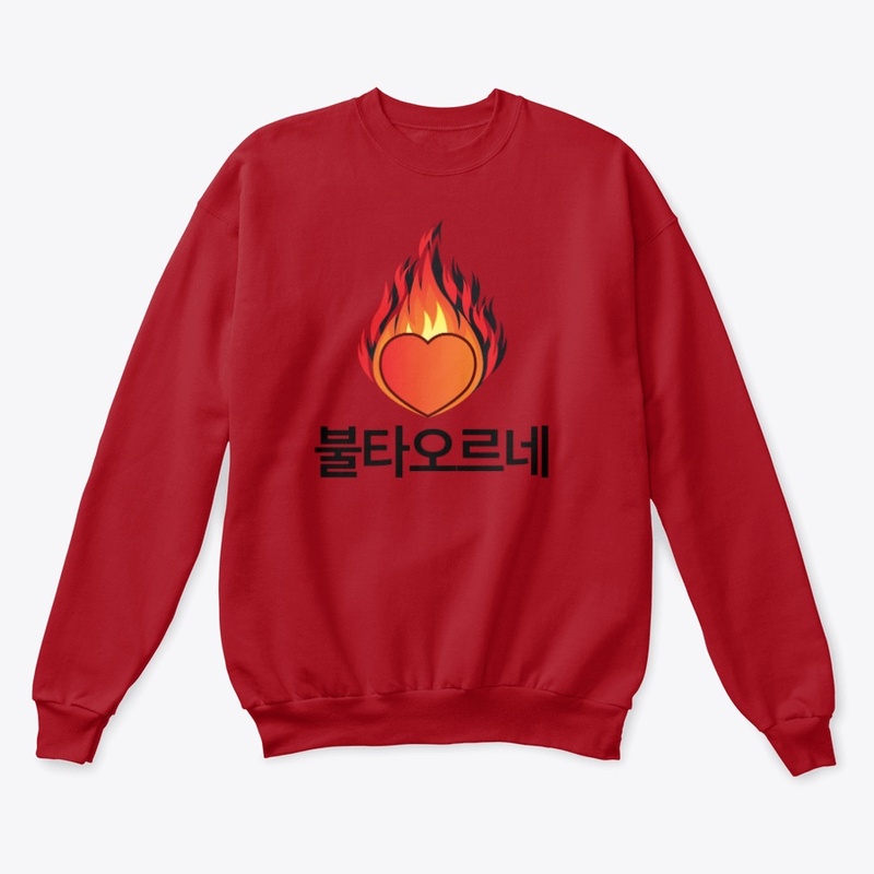 Kpop Bultaoreune Burning Fire shirt