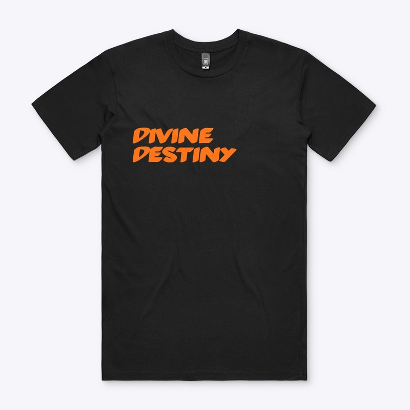 Divine Destiny hoodie