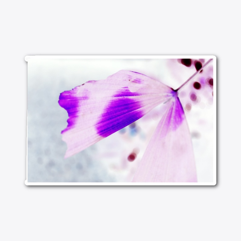 Leaf photo