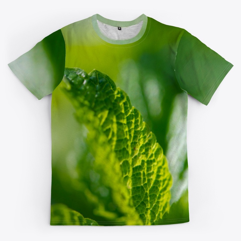 Green leaves in nature