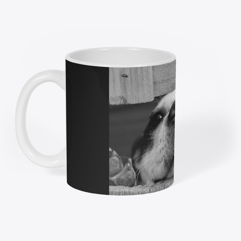 Lovely dog