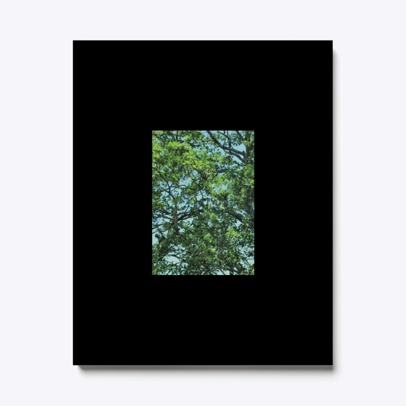 THE AERIAL TREE