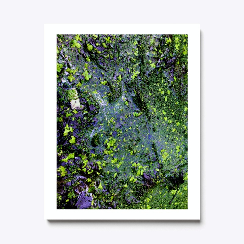 Primordial Ooze
