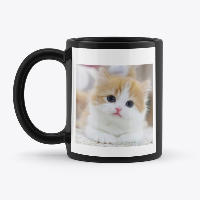 Cute Kitten Vibes