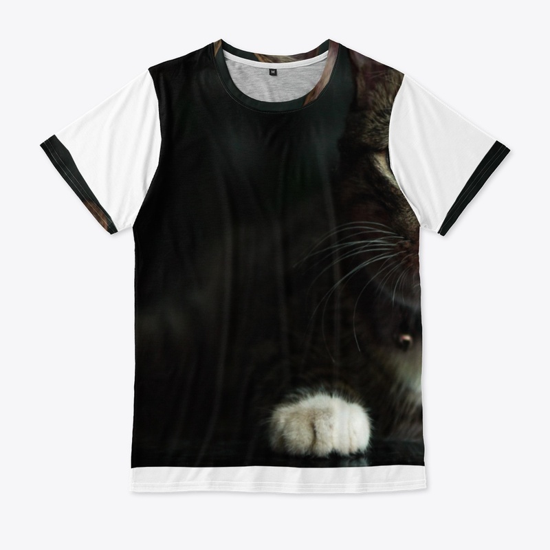 Cute Cat 