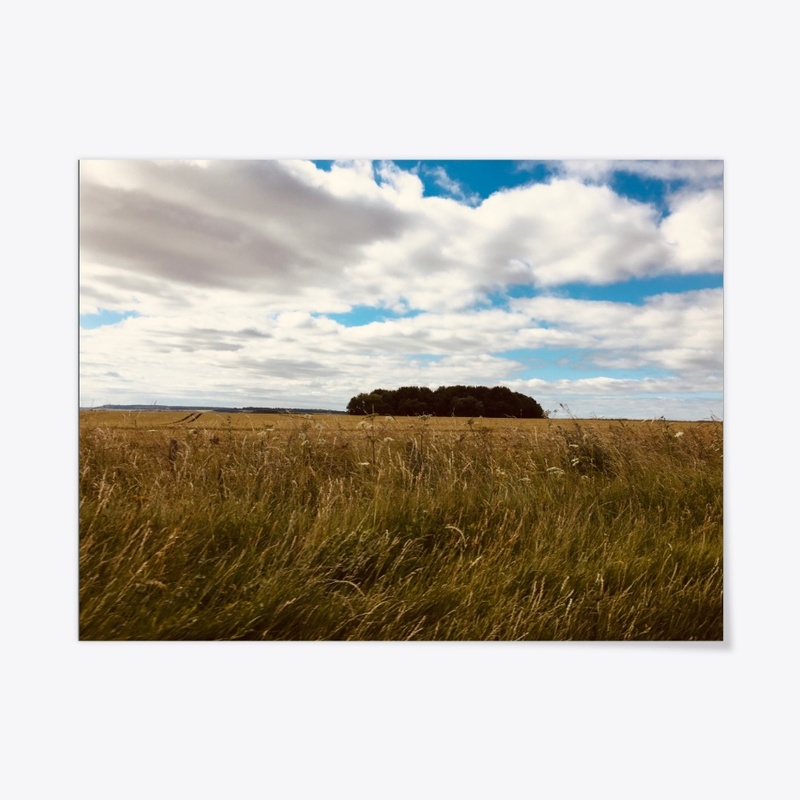 Small forest