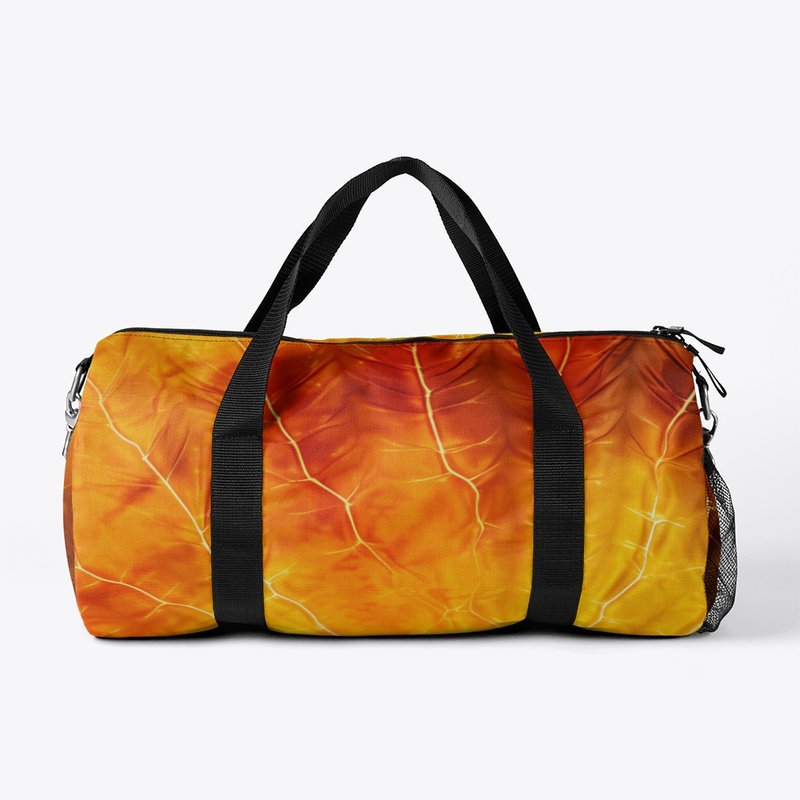 Beautiful Bold Colors