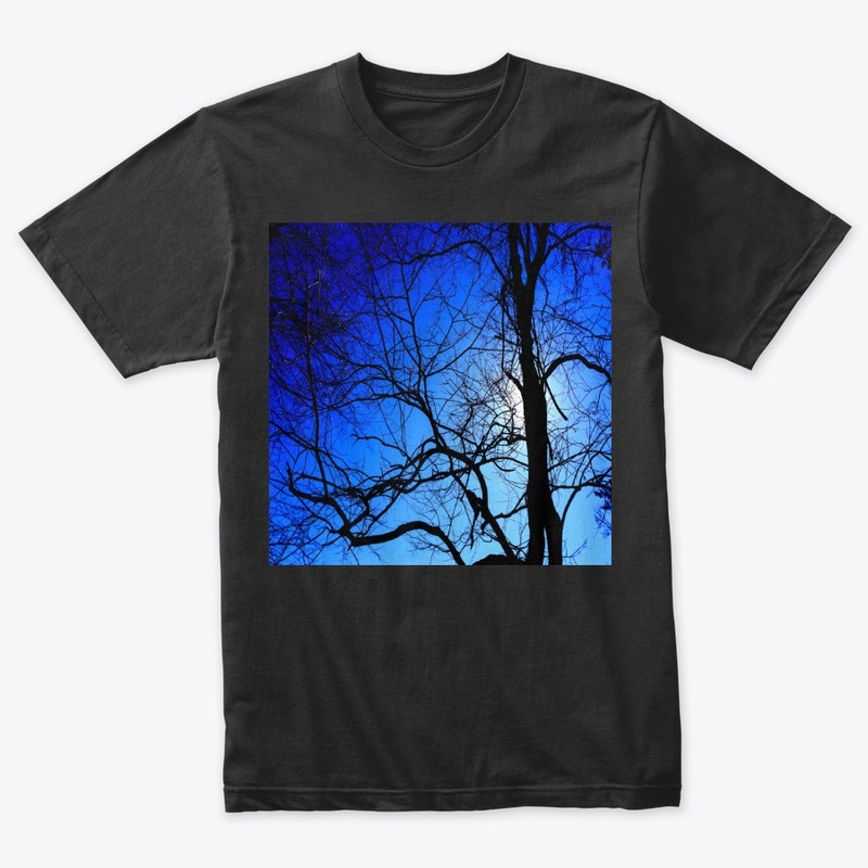 black tree blue sky 