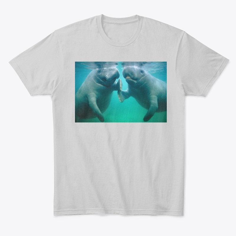 Manatee 