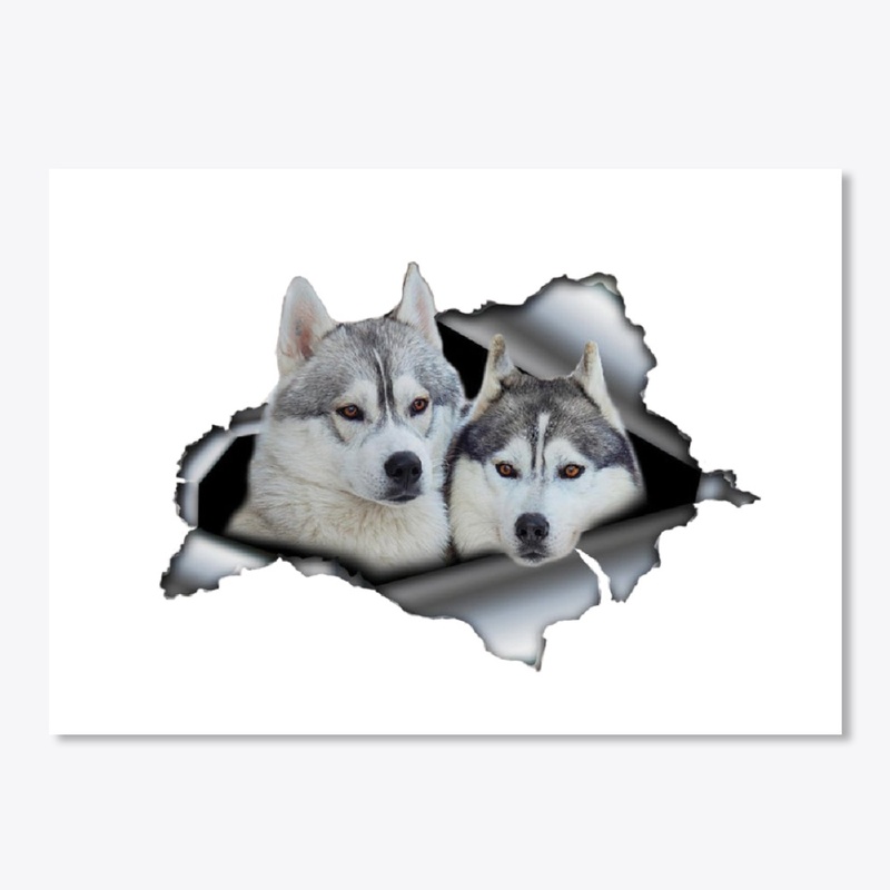 Cute husky sticker