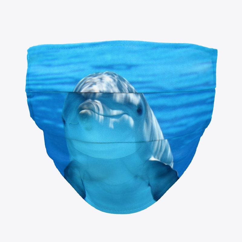 Dolphin Marine Mammals Water Sea