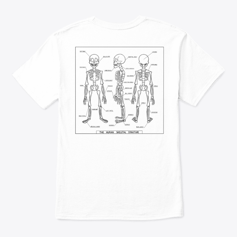Human Skeletal Structure